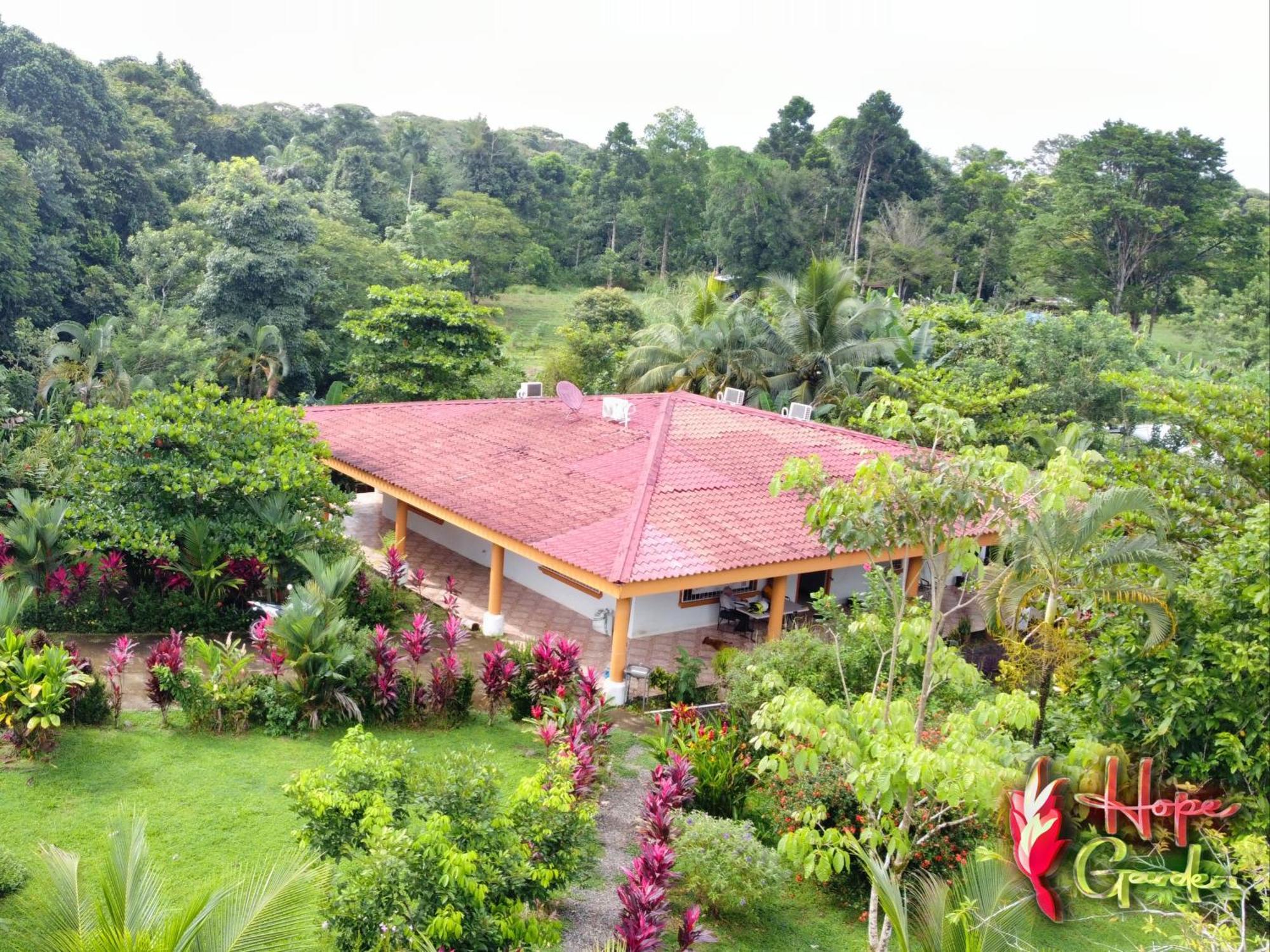 Hope Garden, Sarapiqui, We Connect You With The Sarapiqui Tropical Forest Exterior photo